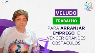 Veludo - Trabalho Para Vencer Grandes Obstáculos E Arranjar Emprego