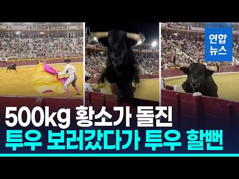 성난 황소가 관중석 쪽으로 돌진…스페인 투우장 '아악!' / 연합뉴스 (Yonhapnews)