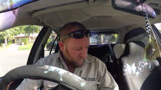 Information carpet python in parkwood Update