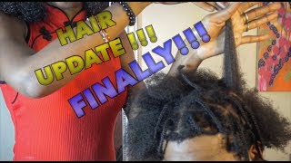 Men's Natural Hair Journey | 3 WEEKS WITH BOX-BRAIDS | HAIR UPDATE | LENGTH CHECK!  #JtsHairJourney