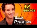 Эдди Редмэйн - 12 фактов о которых  Вы не знали Фантастические твари