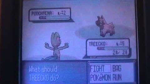 Two 1/8192 SHINIES IN 8 HOURS! UNCATCHABLE SHINY POOCHYENA After ~8000 SRs