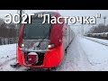 ЭС2Г-117 "Ласточка", электричка МЦД D2 (Нахабино-Подольск), Павшино, 2021, 2160p60