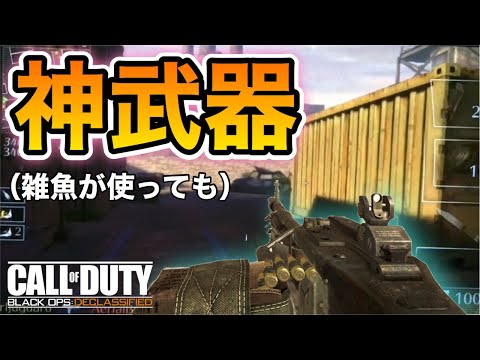 【CODBOD】下手でも無双！？神武器を発見しました「container」