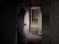 Spiritbox: “my name is Brandon” ghosts caught on camera