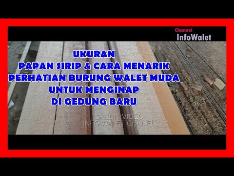 Video: Ukuran Papan Perabot: Tebal Dan Lebar, Papan 10-30 Mm Dan 28-40 Mm, 800x2000 Mm Dan 1200x600 Mm, Pilihan Nipis Dan Tebal