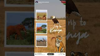 Kenya Safari with Family | Best Africa Trip Package from India | Masai Mara Big 5 Safari #shorts