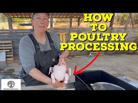 Pastured Poultry Processing - The Easy Way To Process and Butcher Chicken