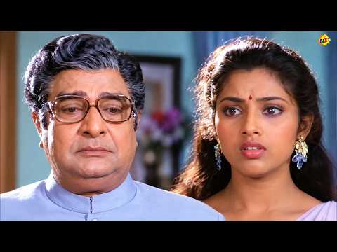 Allari Pilla Telugu Movie Parts - 11/11 | Suresh | Meena | Chinna | Sathyanarayana | TVNXT Telugu