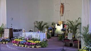 Corpus Christi Live Stream