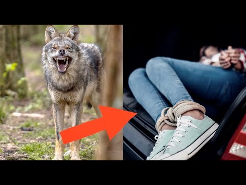 ქმარმა ცოლი ტყეში ხეზე მიაბა და მგლების ამარა დატოვა - მხეცები მასთან მივიდნენ, როცა...