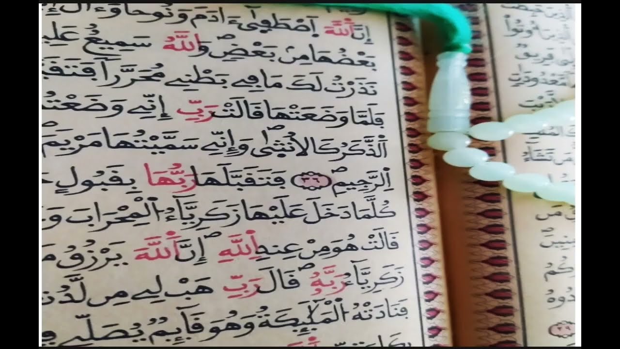 قرءان كريم صوت عذب وجذاب ، قراءة خاشعة وجذابة ، تلاوات عطرة 💕💚💕💚
