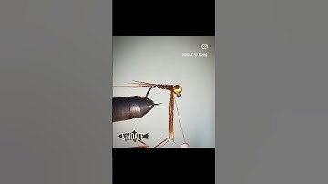 Pheasant Tail Nymph Jig #flytying #flytyingaddict #flytyingforbeginners #flytyingjunkie