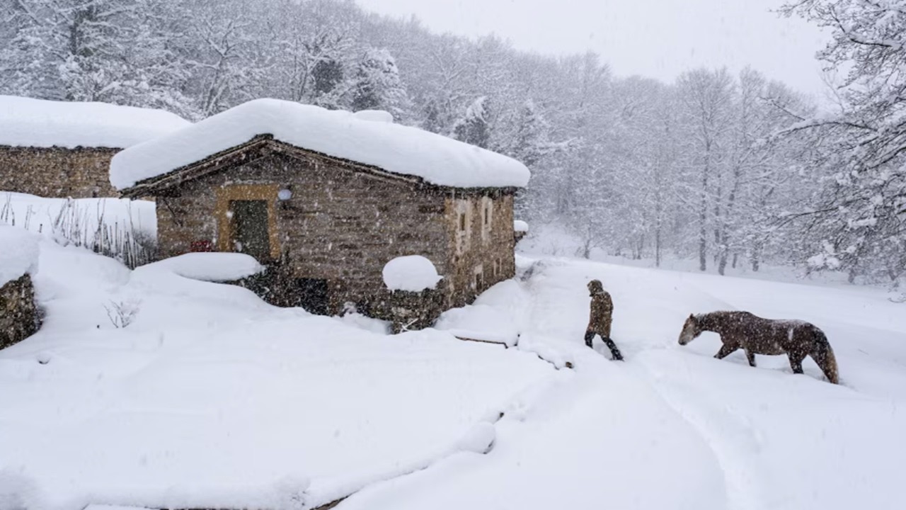 TRAPPED in -40°F BLIZZARD: Alaska Survival, Off-Grid Wooden Cabin: Alone with Wolves in a Blizzard