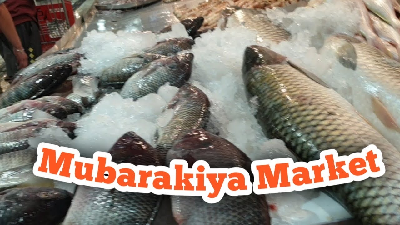 Fresh Fish Market in Kuwait YouTube