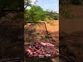 مقطع من رحلتنا اليوم في محافظة بدر الجنوب منطقة نجران