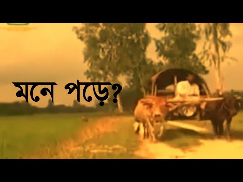 ভিডিও: 80 এর দশকে বিনুনি কি জনপ্রিয় ছিল?