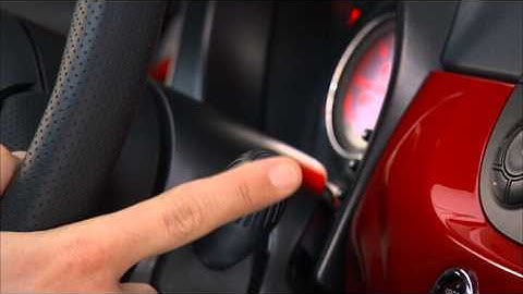 2013 Fiat 500 | Trip Button