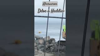 Aberaeron Ddoe a Heddiw #aberaeron #ceredigion #seadefences #southbeach  #cymraeg #brocmor