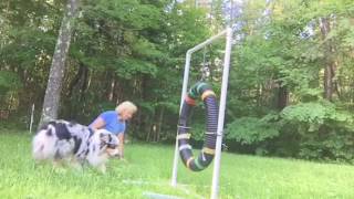Opie choose to jump
