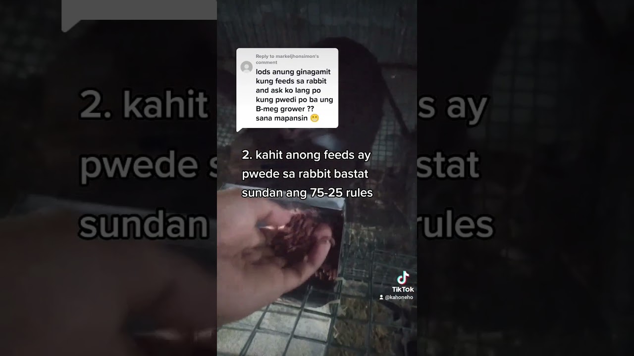 FEEDS NA PWEDE LANG SA MGA RABBIT