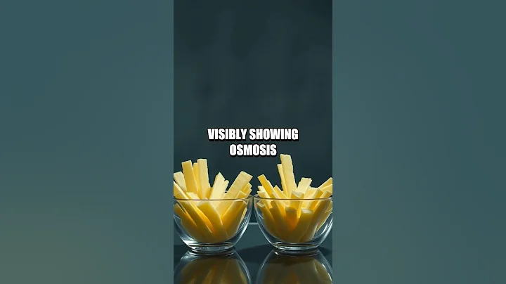 Visible Osmosis at Home with Potatoes