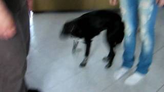 MVI_7903.AVI