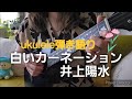 【ウクレレ★ukulele弾き語り】白いカーネーション💠井上陽水