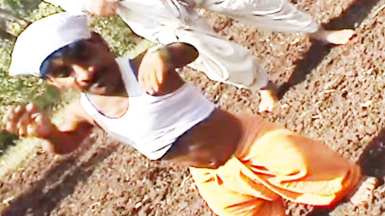 ढोंगी ढोंगी नाच मना दाजीबा | Dhongi Dhongi Naach Mana Dajiba | Lok Geet Bhilau Song