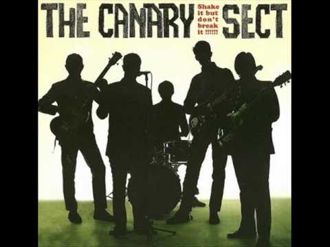 The Canary Sect — THE CANARY SECT - shake it but don't break it