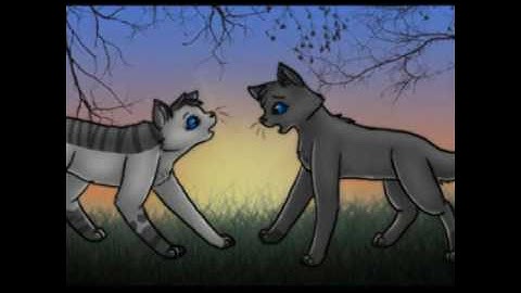 Numb ivypool pmv