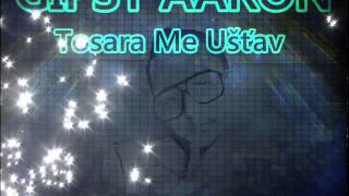 Video thumbnail of "Gipsy Aaron - Tosara Me Ušťav (2013)"