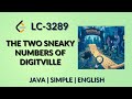 The Two Sneaky Numbers of Digitville Leetcode 3289 Java English