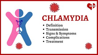 Chlamydia Trachomatis: What is it, Symptoms, Causes, Treatment, and Prevention