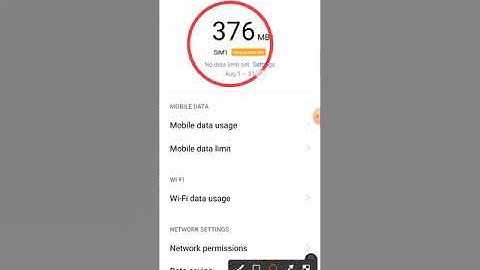Display Data Usage on Notification Bar in vivo v15  me Data Usage Kaise Dekhte Hai