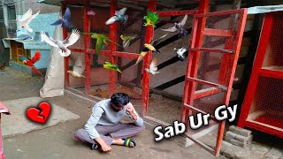 Saray Birds Ur Gy