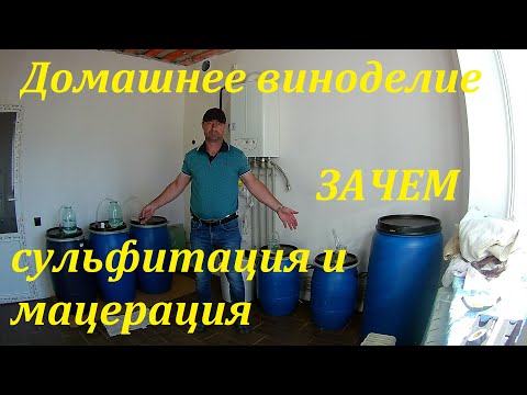 Красное сухое ВИНО.сульфитация и мацерация на ЧКД.