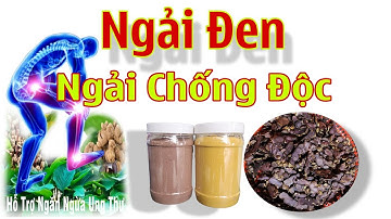 Ngải Đen Ngải Chống Độc Hỗ Trợ Điều Trị Bệnh Ung Thư Đau Nhức Xương Khớp.vv