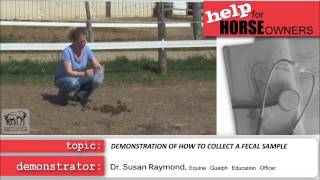 Does your horse have worms? By Equine Guelph and Dressage Hub