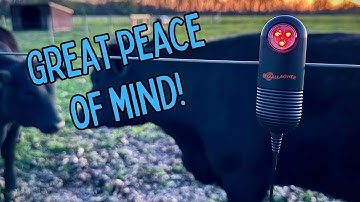 Gallagher Live Fence Indicator LED-lamp review | Bekijk visueel of uw hek aan staat!