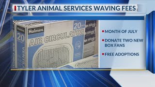 East Texans given rare ‘oppurrtunity’ to get free pet this summer