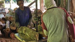 Advanced Sawmill Process: God-Level Technique for Maximum Work Efficiency!