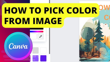 How To Pick Color From Image In Canva