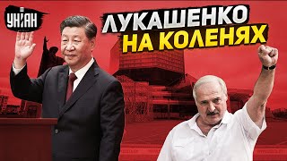 Китай ставит Беларусь на колени: Лукашенко на ковре у Си Цзиньпина. Итоги встречи в Пекине