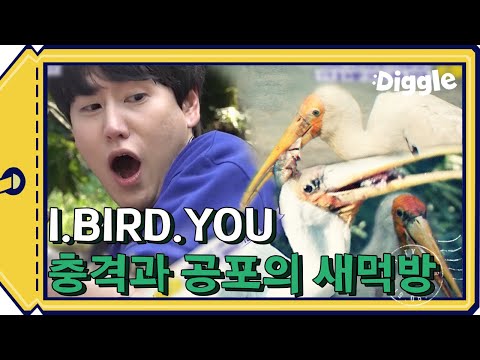 ♨귀신의 집보다 무서운 <strong>황새</strong> 먹방time~♨ 내 옆에서 피 철철 흘리는 통생선..ㄷㄷ 오마이가쉬😱 | #깜찍한혼종_더짠내투어 | #Diggle