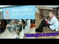 ПОЕЗДКА В ПРИЮТ ДЛЯ СОБАК 🐶 день студента-ветеринара