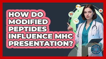 How Do Modified Peptides Influence MHC Presentation? - All About the Immune System