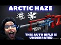 Arctic Haze Review and God Rolls