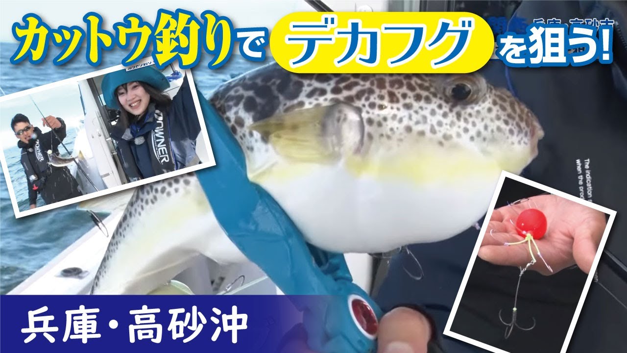 カットウ釣りでデカフグを狙う 兵庫 高砂沖 Youtube