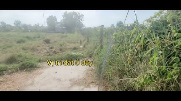 1. 650 mv đất vườn giá 4 tỷ 4.. đường ô tô.. xã Mỹ lộc huyện cần giuoc Long An.. rẻ nhất khu vực